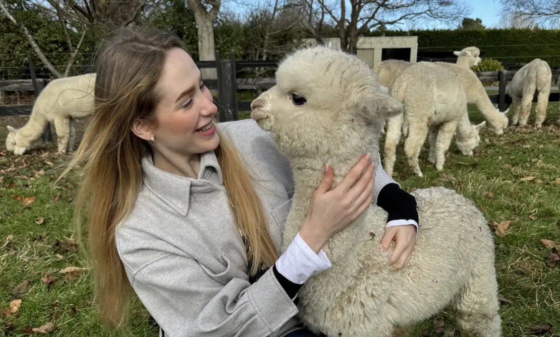 A mandatory picture with Alpaca